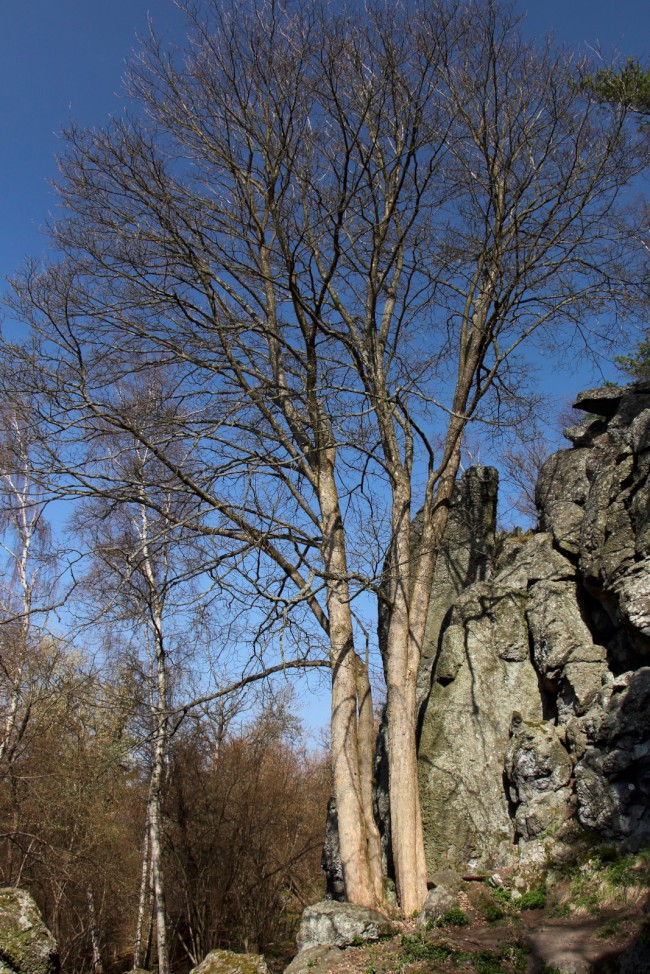 Kozelka, lezení na skalách, Nová Doubravice