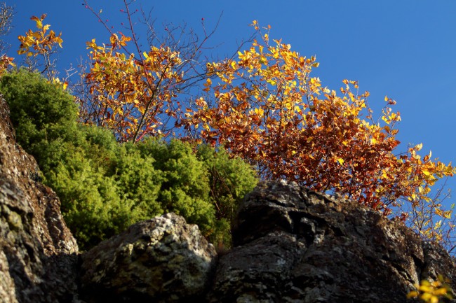 Podzimní skalní lezení na Kozelce, Doubravice