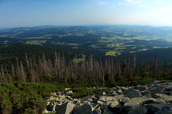 Kamenné moře, Bavorský les, Německo, Šumava, Jižní Čechy