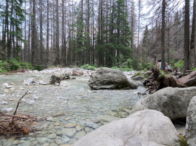 Výstup ze Starého Smokovce na Hrebienok, Slavkovský štít, Vysoké Tatry, Slovensko