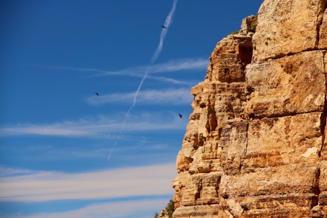 Skeleton point, South Kaibab Trail, Grand Canyon, Arizona, USA