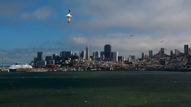 Trajekt na Alcatraz, Ostrov pelikánů, San Francisco, Kalifornie, USA