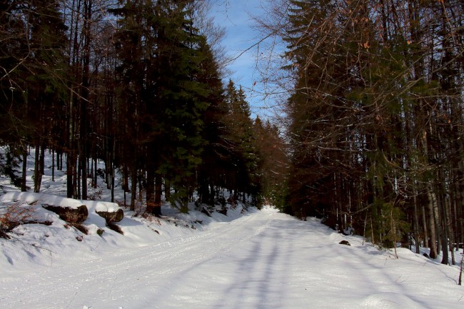 Rudská křižovatka, Bukovina, Gerlova Huť, Běžecké lyžování, Šumava