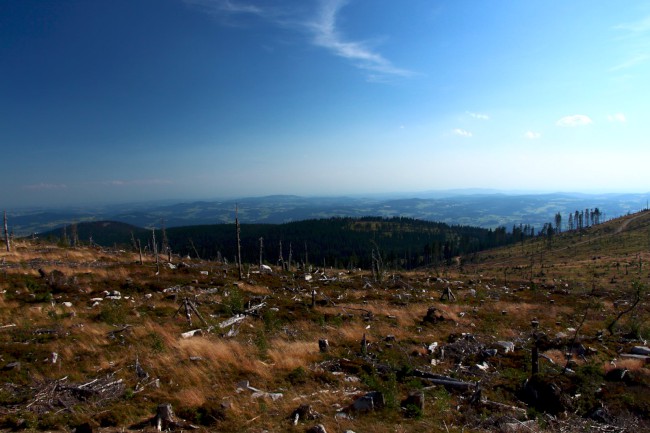 Vrchol Plechý (1378 m), Šumava, Jižní Čechy