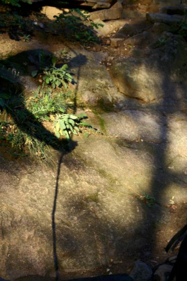 Lezení na vltavských skalách, Roviště, Středočeský kraj