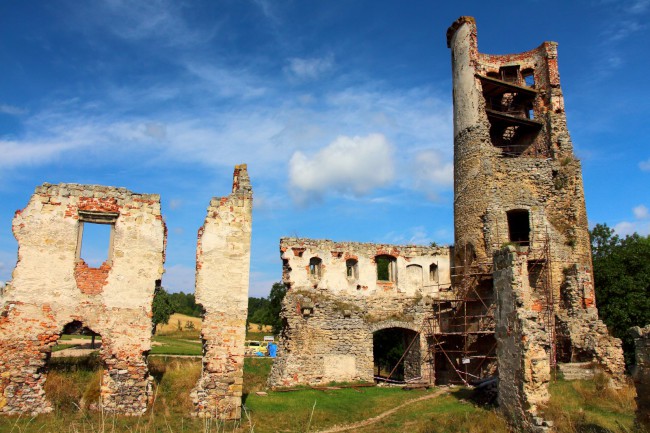 Zřícenina hradu Zvířetice, Bakov nad Jizerou, Podhradí