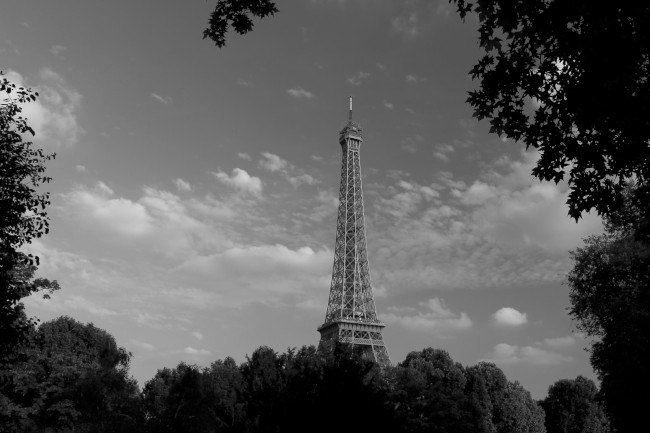 Výstup na Eiffelovu věž, Champ de Mars, Paříž, Francie