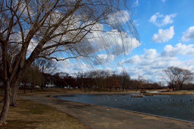 Konstituční zahrada, rybník, Washington D.C., Spojené státy americké (USA)